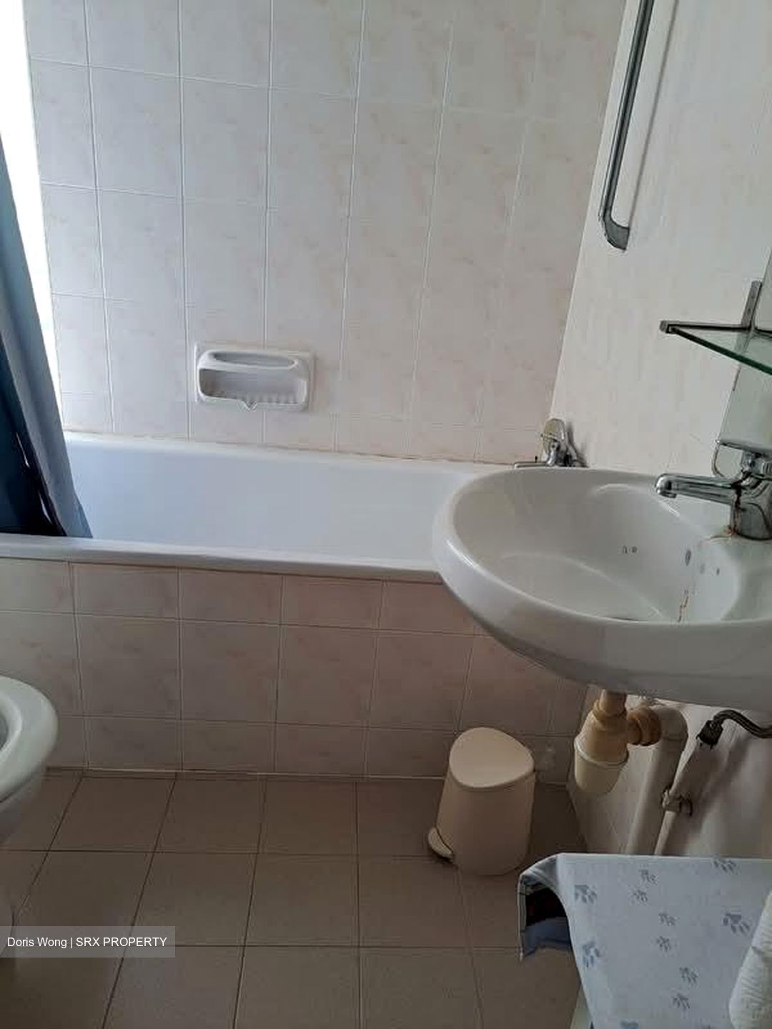 Pandan Valley (D21), Condominium #560571011